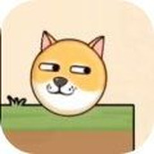 救救狗狗免费正版