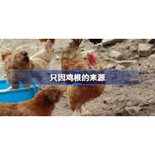 只因鸡根的来源-只因鸡什么梗
