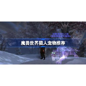 魔兽世界猎人宠物推荐-魔兽世界怀旧服wlk猎人宠物选什么