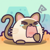 喵了个猫猫安装包