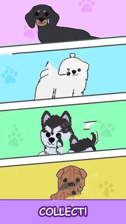 合并幼犬手游
