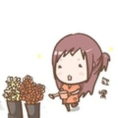 打工女孩官方版