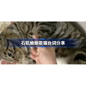 石矶娘娘是什么梗-石矶娘娘吸猫台词