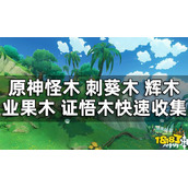 《原神》须弥木材快速收集攻略 怪木 刺葵木 辉木 业果木 证悟木快速收集