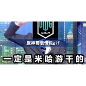 原神哥表情包gif-原神哥表情包分享
