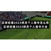 足球经理2023球员个人指令怎么样-足球经理2023球员个人指令大全