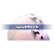eggdog表情包分享-eggdog小海豹表情包有哪些