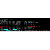 Linux中提示No such file or directory解决方法