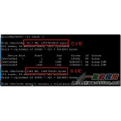 Linux系统挂载未分配硬盘例子