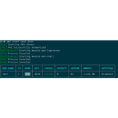 nodejs pm2配置使用教程