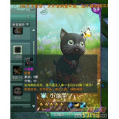 剑网3新版本奇遇宠物至尊宝任务攻略