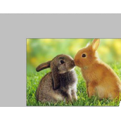 ps中的模糊工具怎么用？模糊工具使用方法