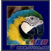 Painter制作马赛克式装饰画教程