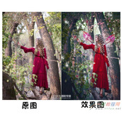 Photoshop用LR和PS制作童话仙女场景效果步骤教程