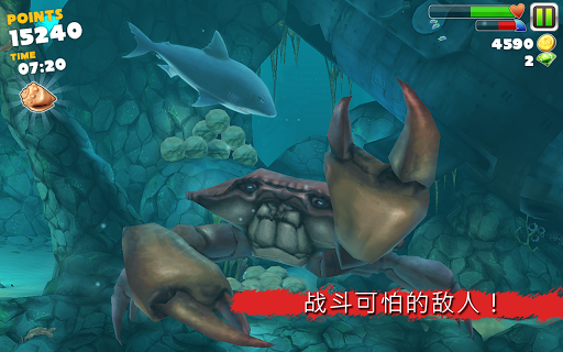 饥饿的鲨鱼进化