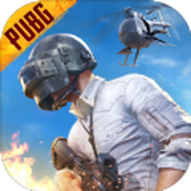 pubgmobile.com下载安卓版手游国际服