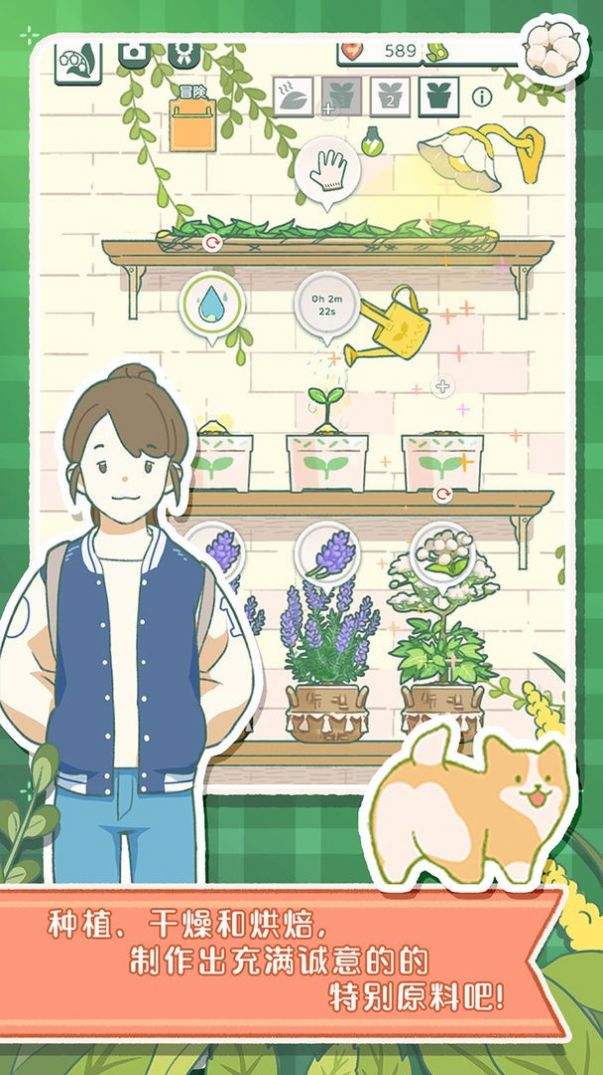 寄心茶屋2022正版
