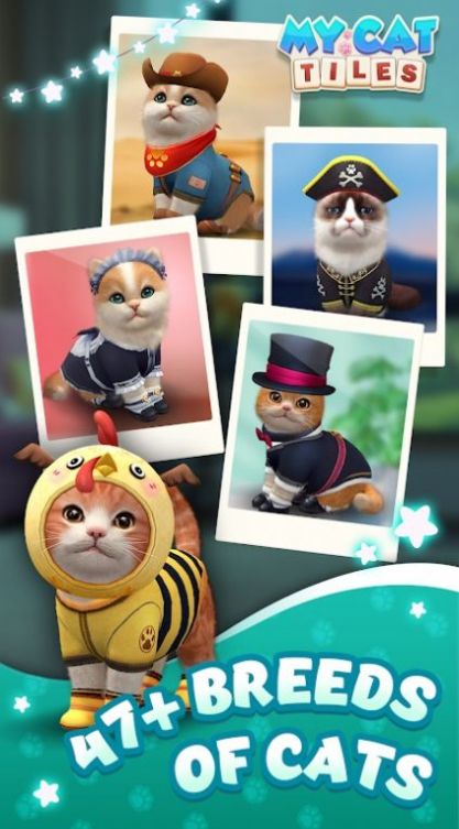 我的猫猫生活安卓下载