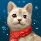 我的猫猫生活安卓下载