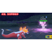 宝可梦朱紫亲密度怎么提升 友好值提升方法