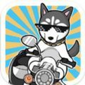 养只二哈不容易3完整版