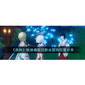 原神秋津森夜试胆会搭档位置在哪
