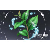 梦幻西游初诞春芽法宝详情