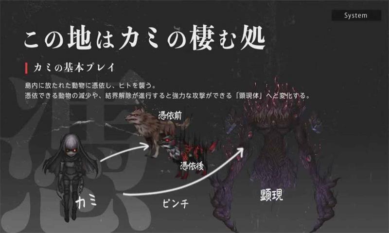 神长氏岛轮回巫女下载