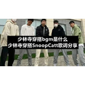 少林寺穿搭bgm是什么-少林寺穿搭SnoopCatt歌词分享
