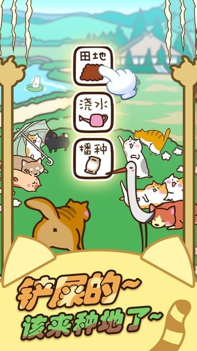 喵喵万事屋安卓版