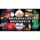 鹅鸭杀各身份怎么发言-鹅鸭杀开会发言心得