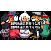 鹅鸭杀通灵鹅有什么用-鹅鸭杀通灵鹅作用介绍