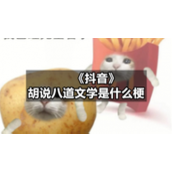 《抖音》胡说八道文学是什么梗