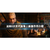 巫师3次世代版肾上腺素有什么用