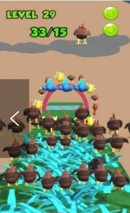 鸡群障碍跑免费正版