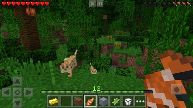 我的世界植物大战僵尸简易版