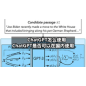 ChatGPT怎么使用-ChatGPT是否可以在国内使用