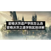 霍格沃茨遗产学院怎么选-霍格沃茨之遗学院区别详解