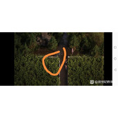 《创世秩序》捕蛇器制作方法分享 捕蛇器材料获取地点