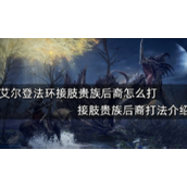 艾尔登法环接肢贵族后裔打法介绍
