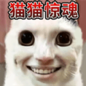 猫咪宠物模拟器官方下载