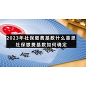 2023年社保缴费基数什么意思-社保缴费基数如何确定