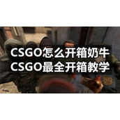 CSGO怎么开箱奶牛-CSGO最全开箱教学