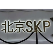 skp是什么意思攻略