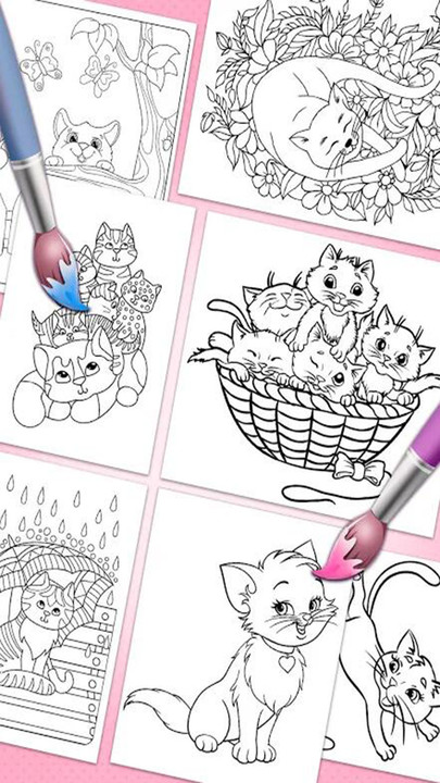 小猫着色免费正版