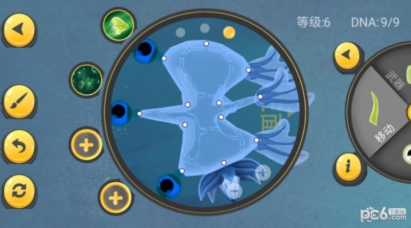 微生物进化挑战完整版