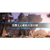 《狂野之心》可以联机吗？联机方法分享