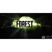 森林之子绳索枪在哪绳索枪具体位置介绍