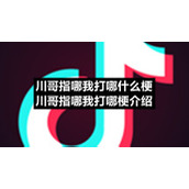 川哥指哪我打哪什么梗川哥指哪我打哪梗介绍