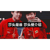 莎头是谁莎头梗介绍